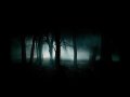 Dark-Forest-10914.jpg